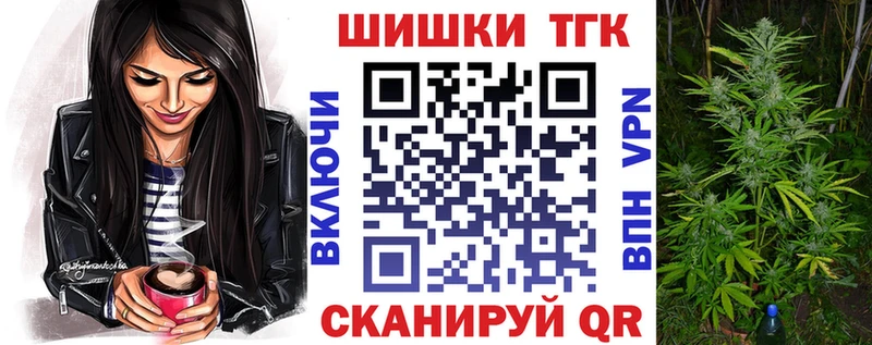 ГАШ Мезень