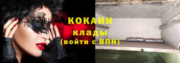 ECSTASY Белокуриха